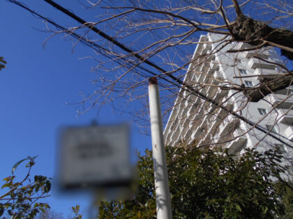 市立公園照明灯取替工事｜ケーブル更新・照明器具交換を伴う公園整備施工事｜近畿 工場・建屋工事・メンテンナンスセンター