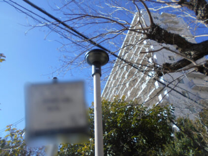 市立公園照明灯取替工事｜ケーブル更新・照明器具交換を伴う公園整備施工事｜近畿 工場・建屋工事・メンテンナンスセンター